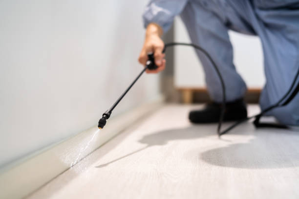 Rodent Entry Point Assessment in Mount Hope