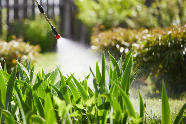 Tamper-Resistant Bait Stations for Rodents in Mount Hope