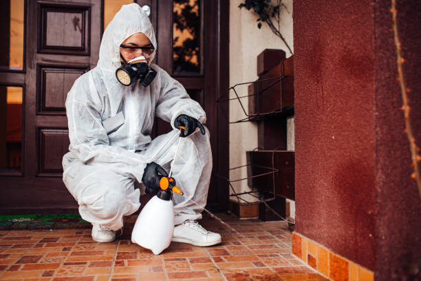 Attic and Crawl Space Rodent Treatment in Mount Hope