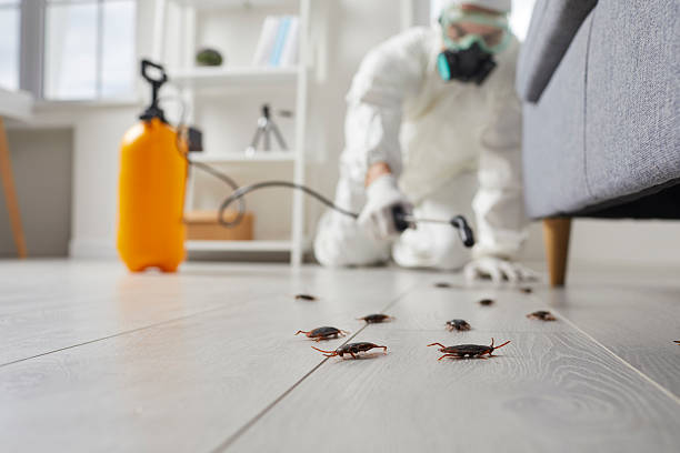 Commercial Rodent Management in Mount Hope